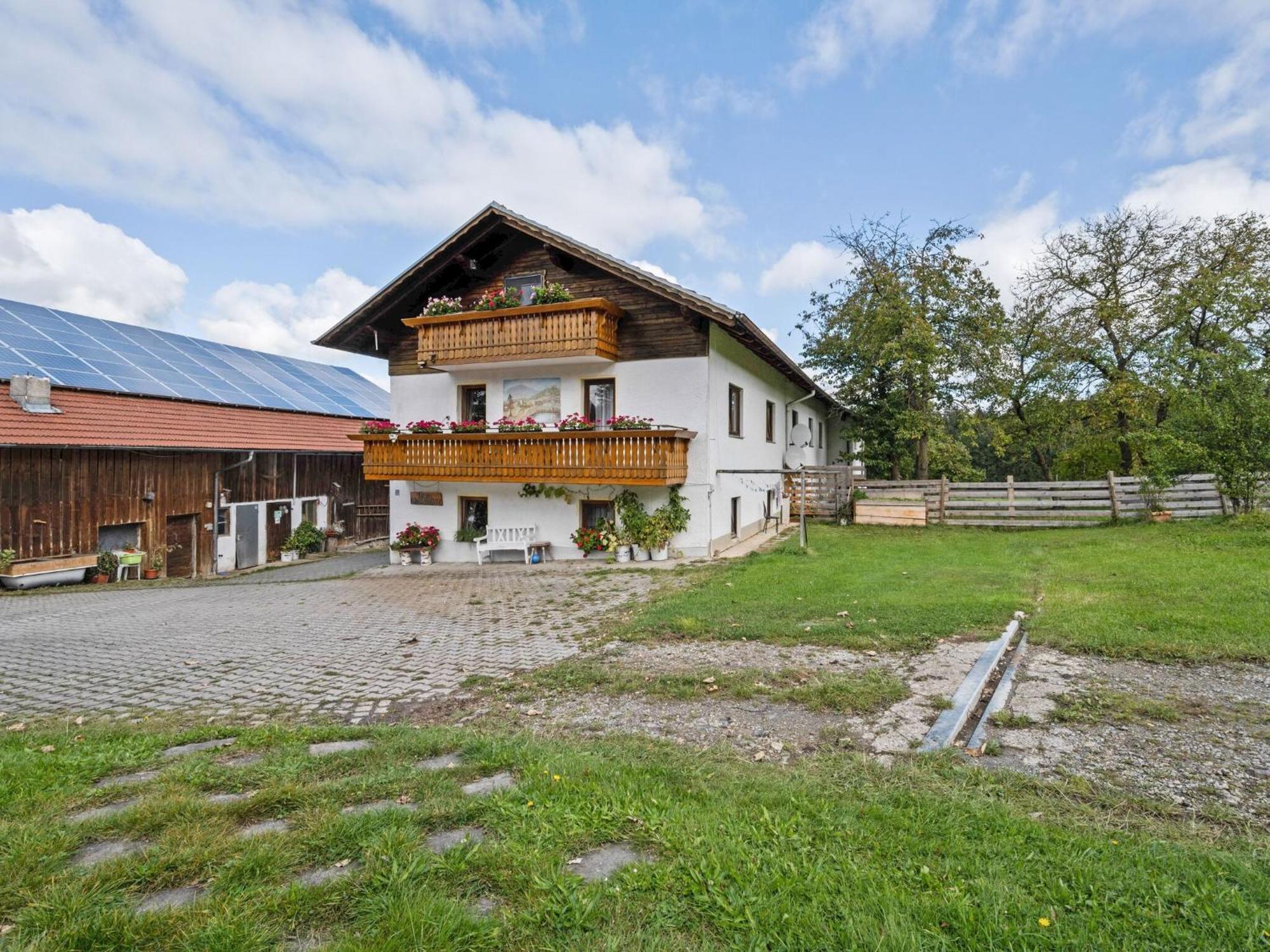 Flat On A Farm Near The Arber Ski Area Neukirchen beim Heiligen Blut Exterior foto